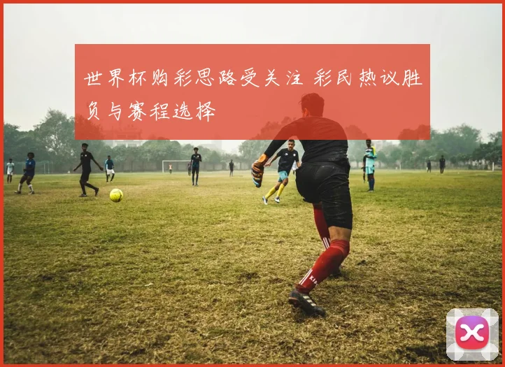 世界杯购彩思路受关注 彩民热议胜负与赛程选择