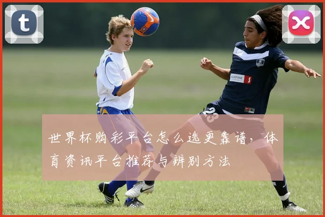 世界杯购彩平台怎么选更靠谱,体育资讯平台推荐与辨别方法