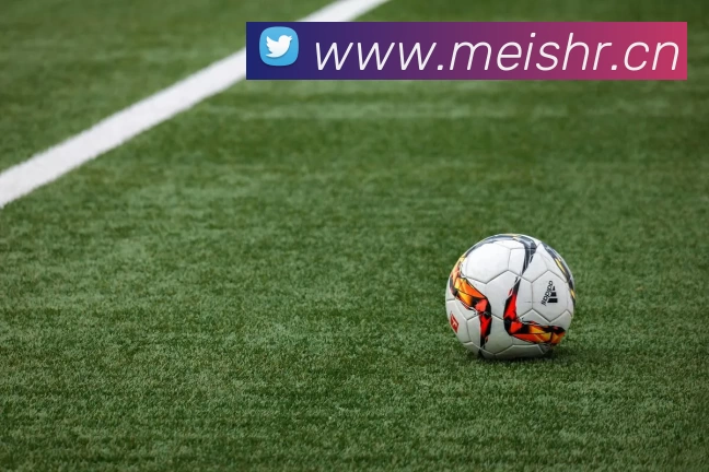 开云手机站官方版网站登录入口 - 开云(中国)服务体系